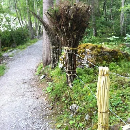 Ξενοδοχείο Gletscherschlucht Γκρίντελβαλντ